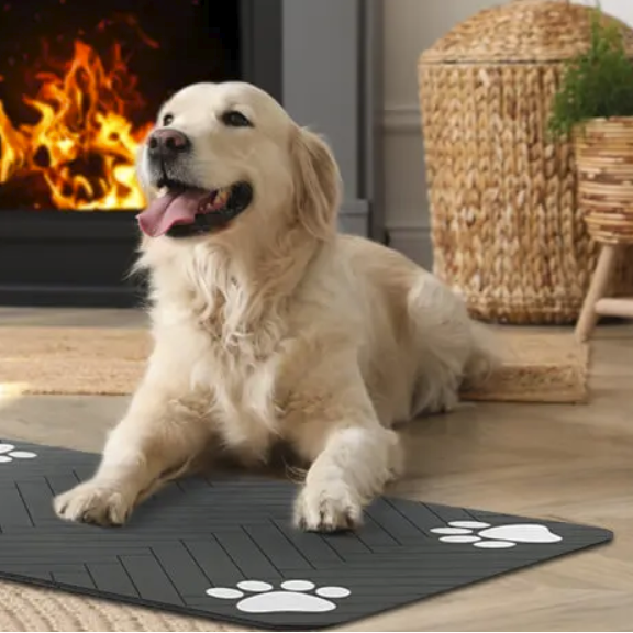 Dog beside absorbent pet food and water mat