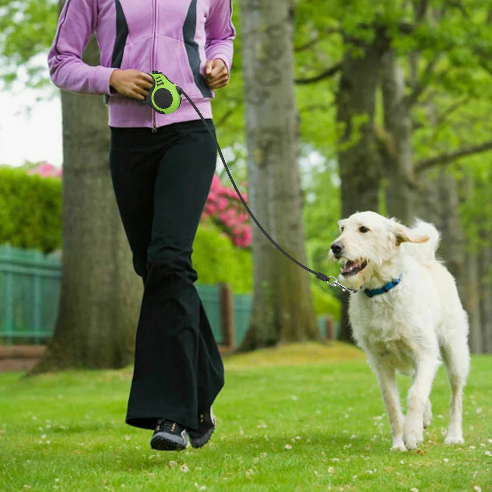Dog walking outdoors with an automatic retractable leash