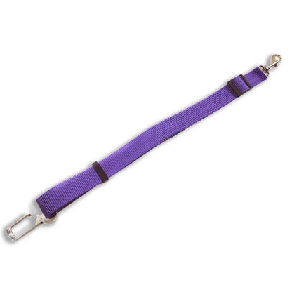 Purple Relvya RoadTether pet car seat belt