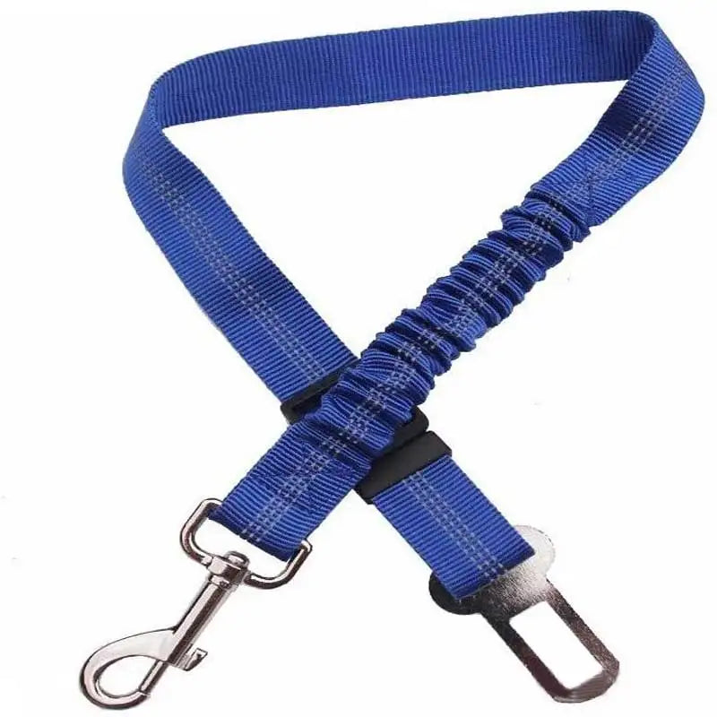 Blue elastic pet car seat tether