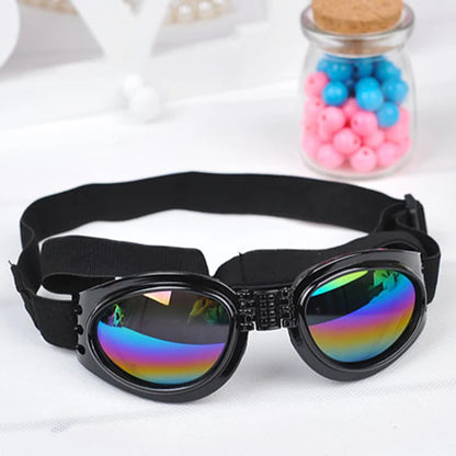 Black pet goggles with rainbow lenses and adjustable strap