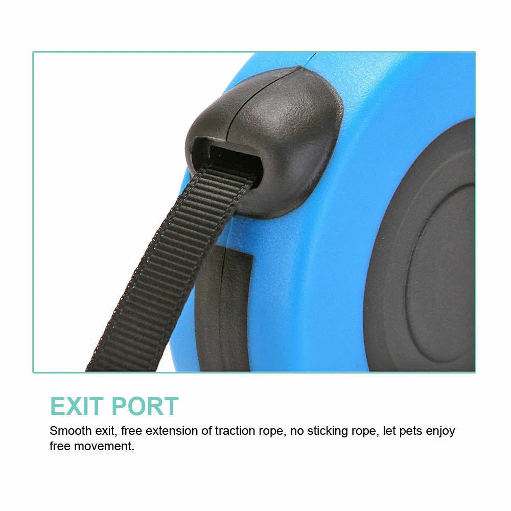 Retractable dog leash exit port designed for smooth leash movement