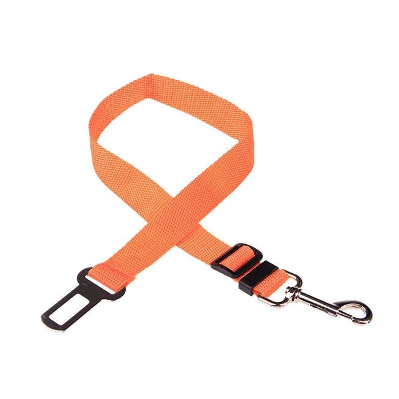 Orange adjustable pet car seat tether