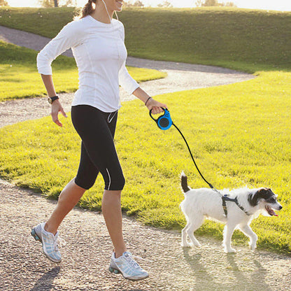 Woman walking a small dog with a blue retractable leash outdoors ✅