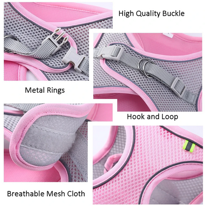 Reflective pet harness buckle and metal ring details
