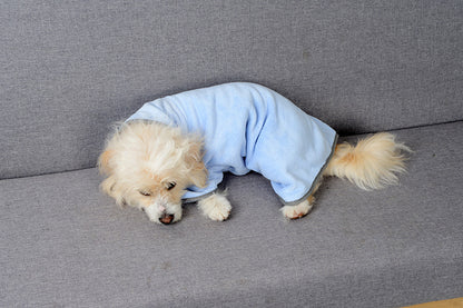 Dog resting in blue quick-dry pet bathrobe