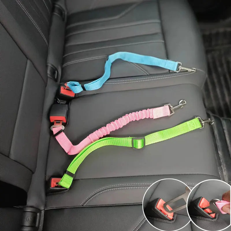 Pet car seat belts attached to vehicle back seat