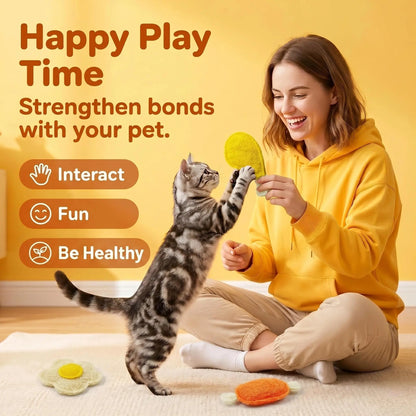 Cat playing with soft catnip toys during interactive playtime