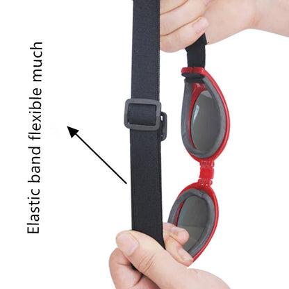 Pet goggles with adjustable elastic strap