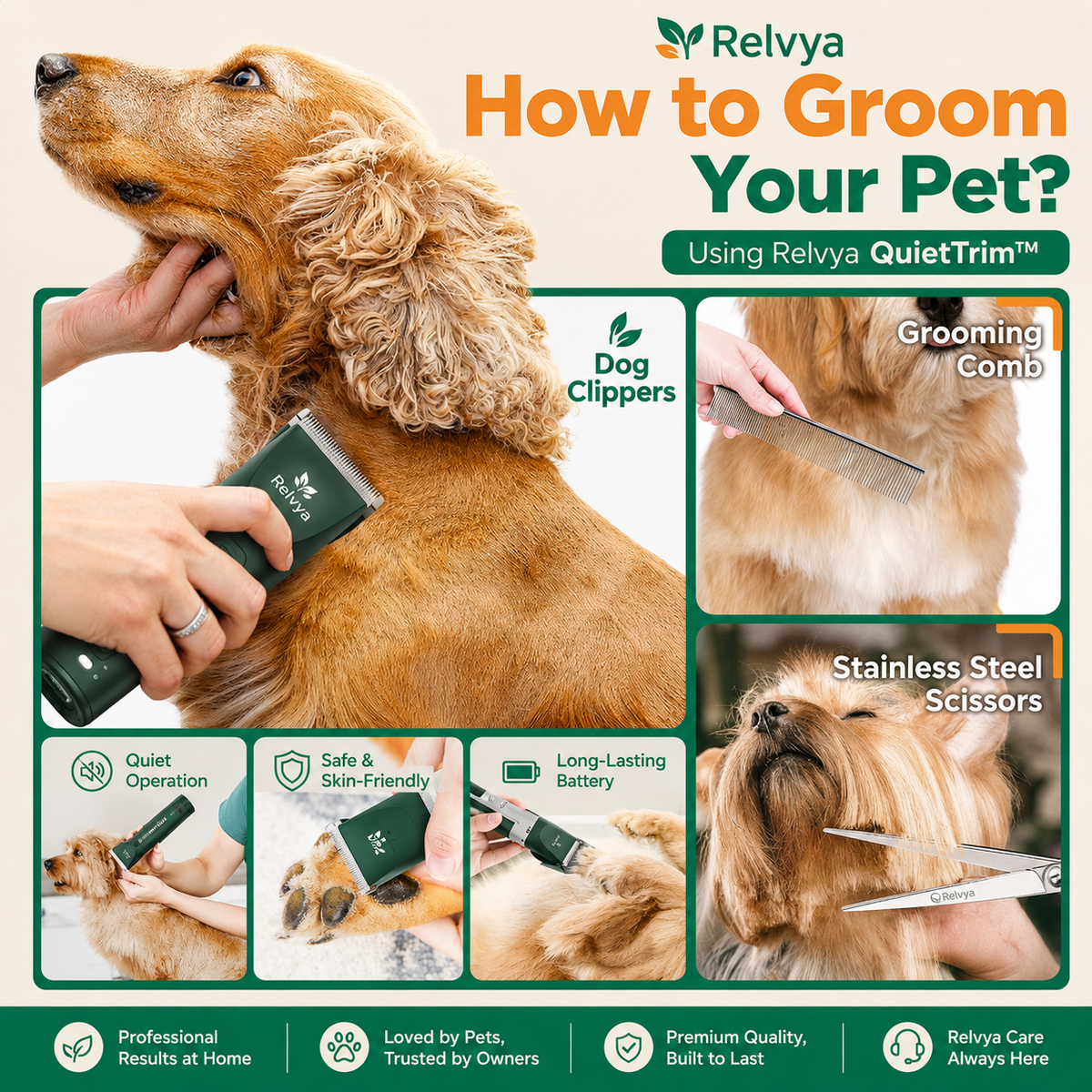 Step-by-step guide showing how to groom a pet
