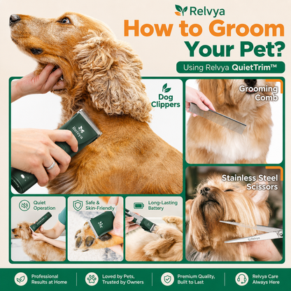 Step-by-step guide showing how to groom a pet