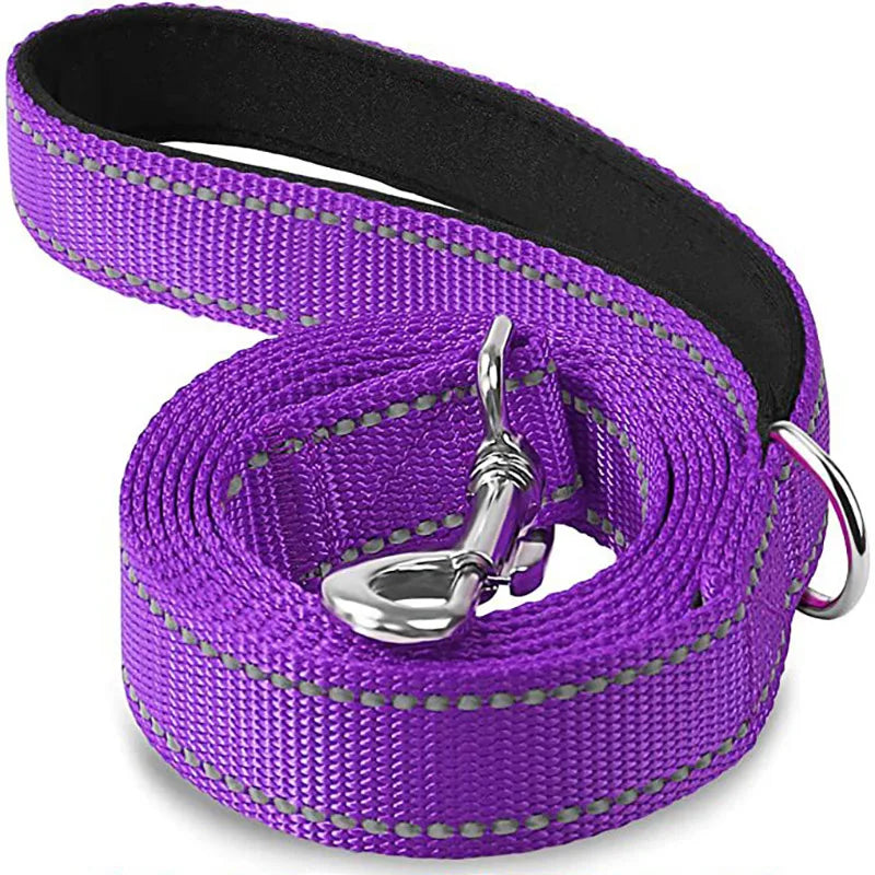 Purple reflective dog leash