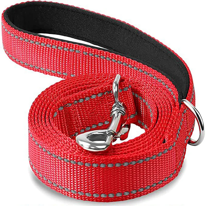 Red reflective dog leash