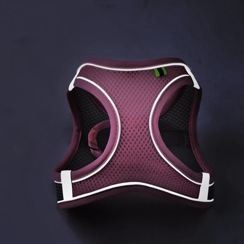 GlowFit breathable mesh pet harness