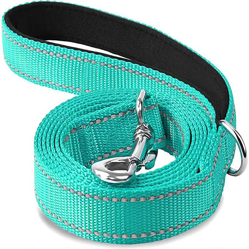 Turquoise reflective dog leash