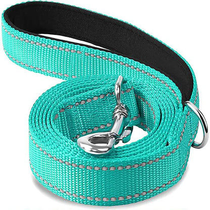 Turquoise reflective dog leash