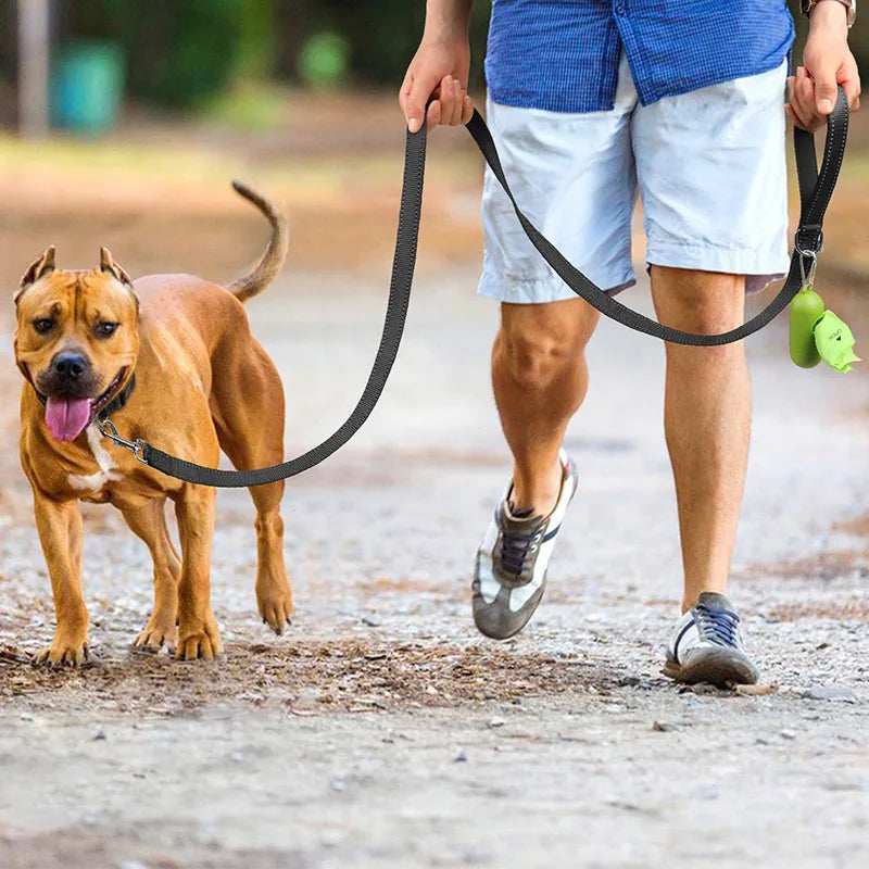 Dog walking outdoors with reflective leash