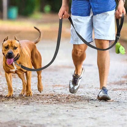 Dog walking outdoors with reflective leash