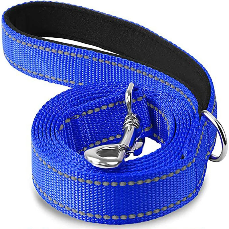 Blue reflective dog leash