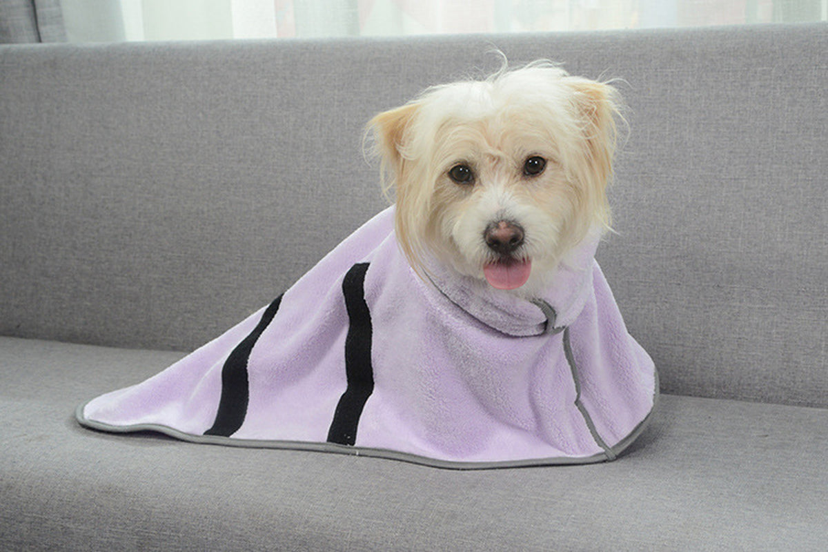 Dog wearing purple Relvya DryWrap pet bathrobe