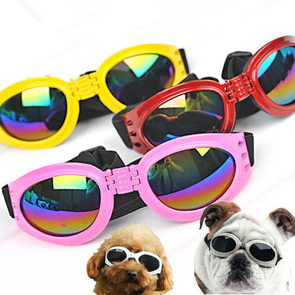 Colorful pet goggles for dogs in multiple styles