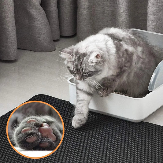 Cat litter mat placed outside a litter box to catch loose litter