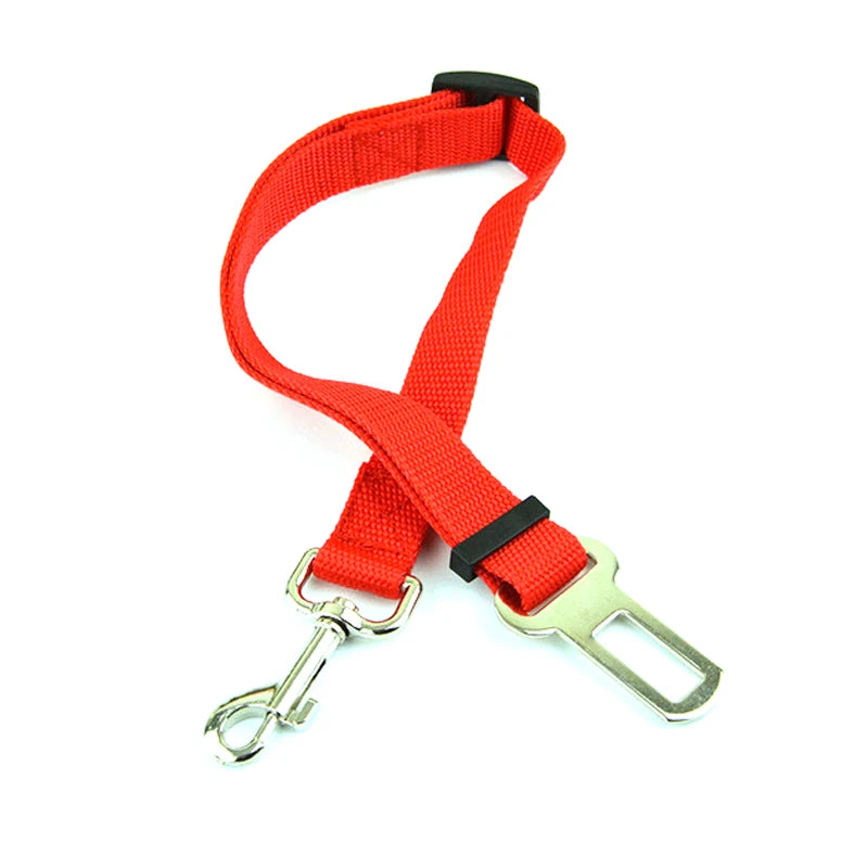 Red elastic pet car seat tether