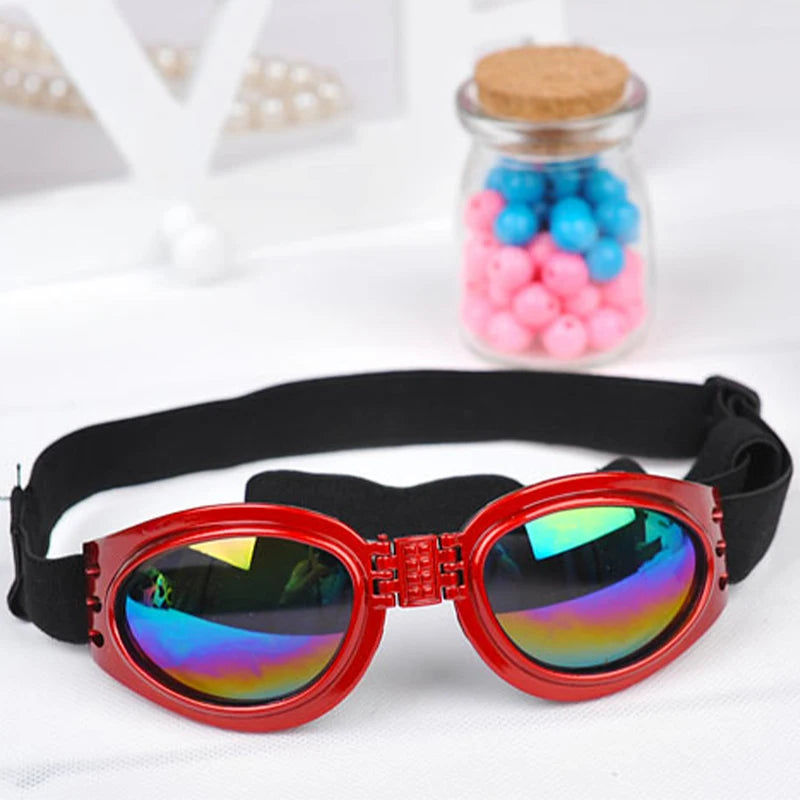Red pet goggles with reflective lenses